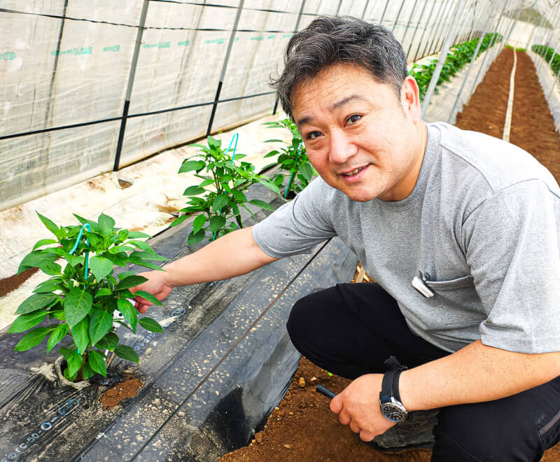 上田 長武